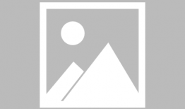 大公鸡视频,揭秘鸡界奇观，趣味横生瞬间集锦